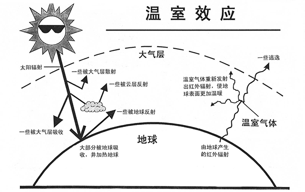 制冷剂公司